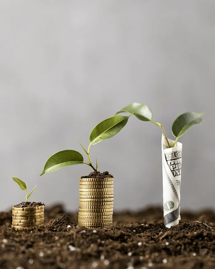 front-view-plants-with-coins-stacked-dirt-banknote